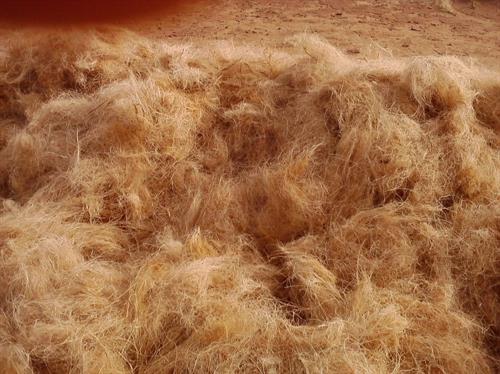 coir fibre for mattress